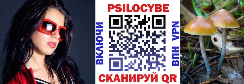 Псилоцибиновые грибы Psilocybe  закладка  Бокситогорск 